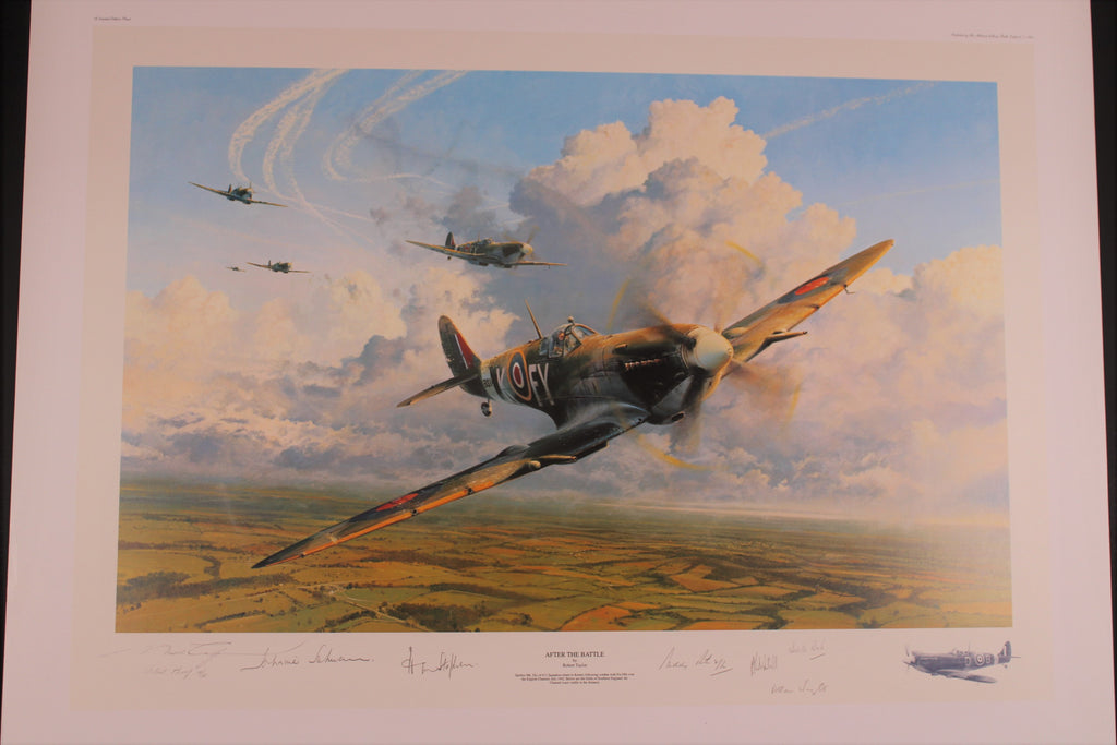 After the Battle by Robert Taylor