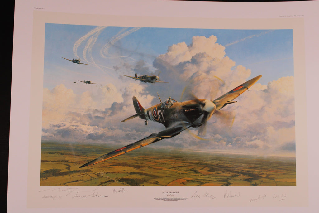 After the Battle by Robert Taylor