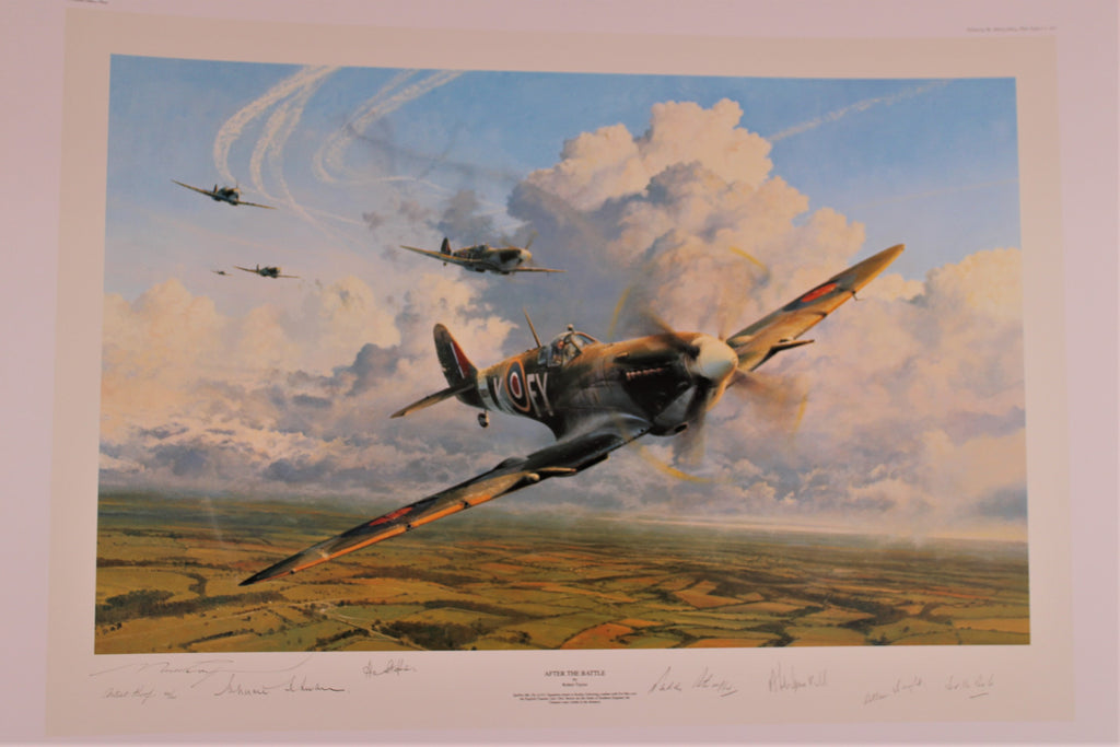 After the Battle by Robert Taylor