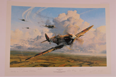 After the Battle by Robert Taylor