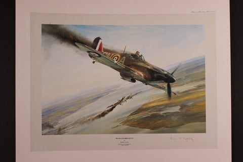 Battle of Britain VC by Robert Taylor