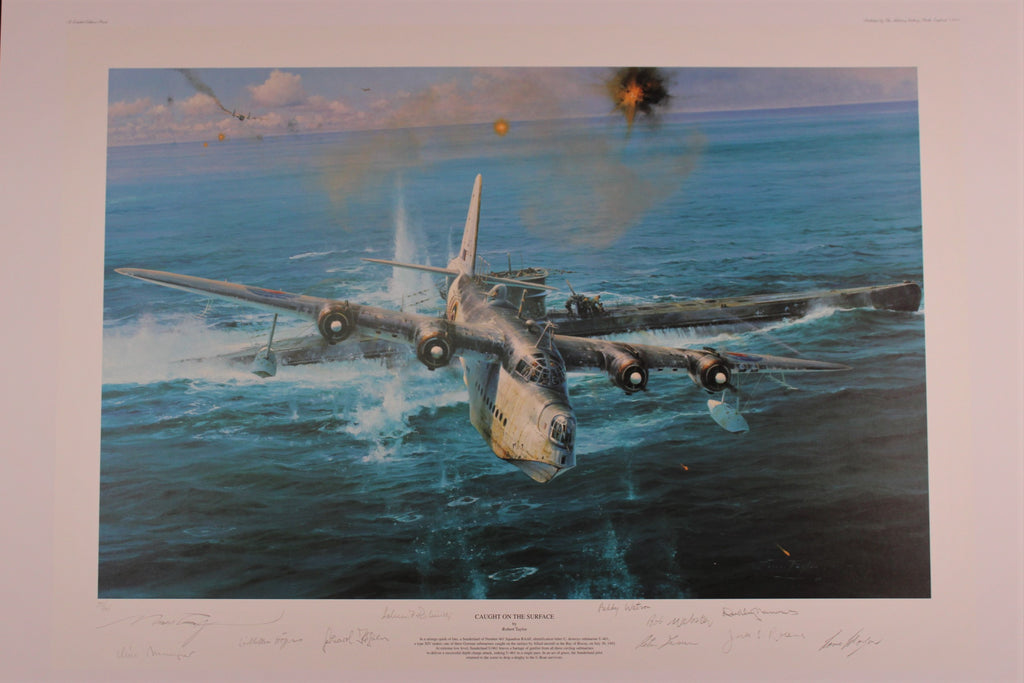 Caught On the Surface by Robert Taylor