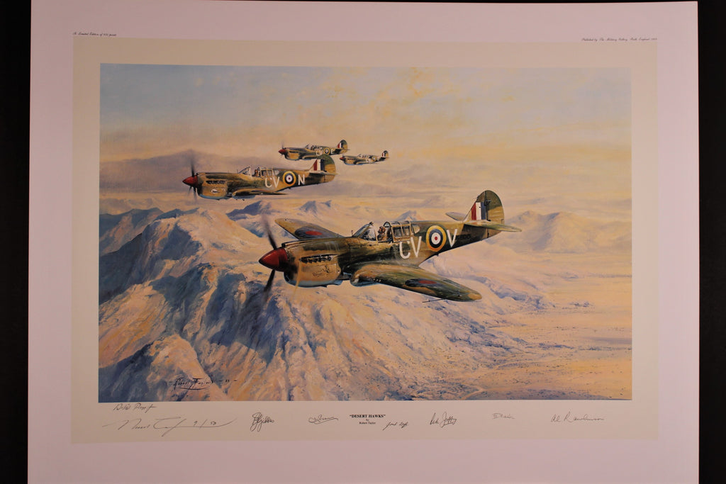 Desert Hawks by Robert Taylor