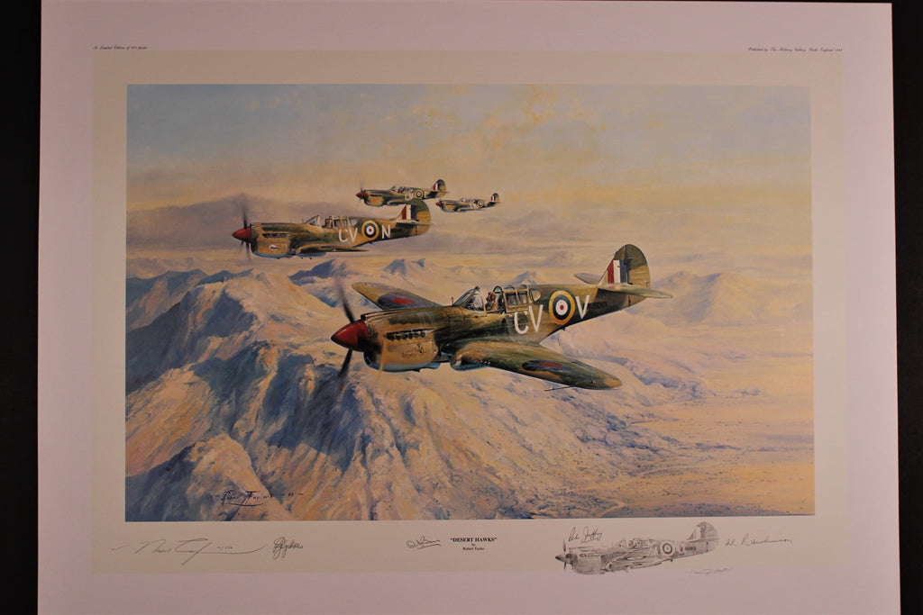 Desert Hawks by Robert Taylor