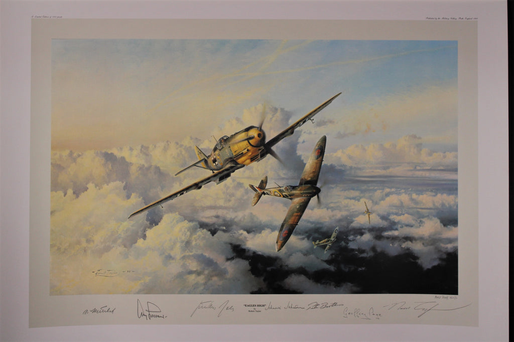 Eagles High by Robert Taylor