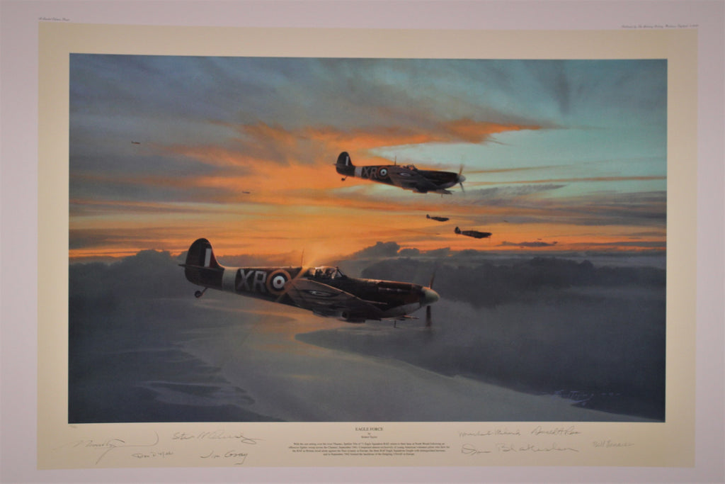 Eagle Force by Robert Taylor