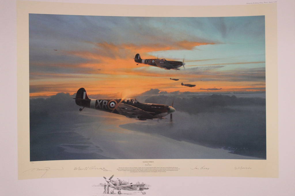 Eagle Force by Robert Taylor