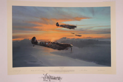 Eagle Force by Robert Taylor