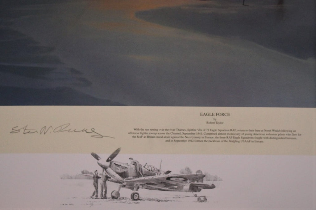 Eagle Force by Robert Taylor
