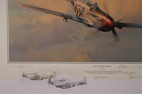 Eagles on the Rampage by Robert Taylor