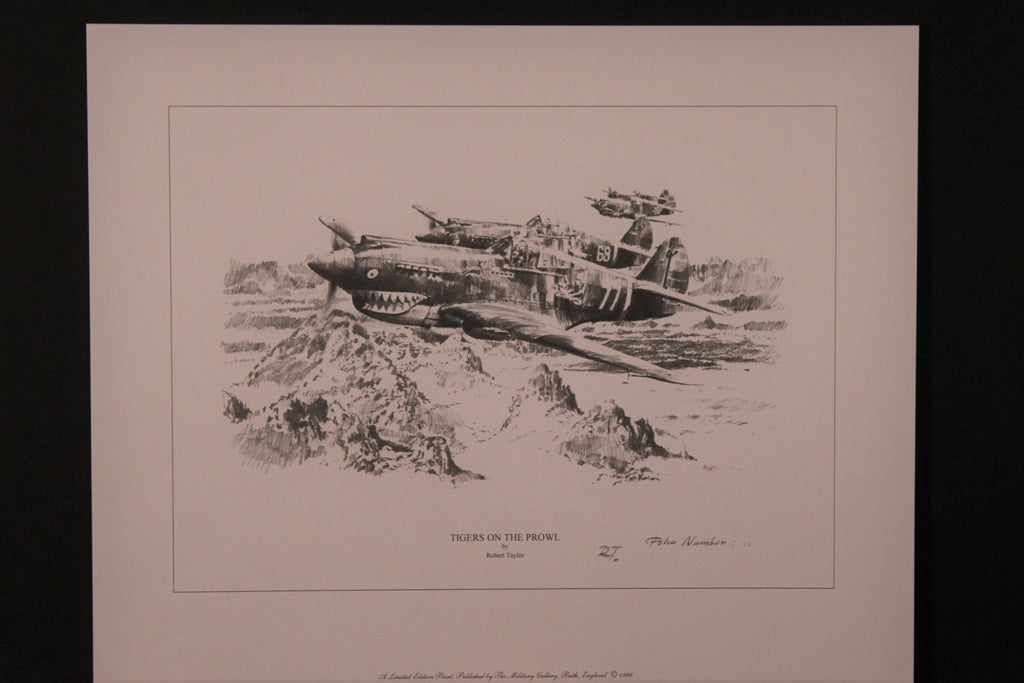 Fighting Tigers - A.V.G. Folio Edition