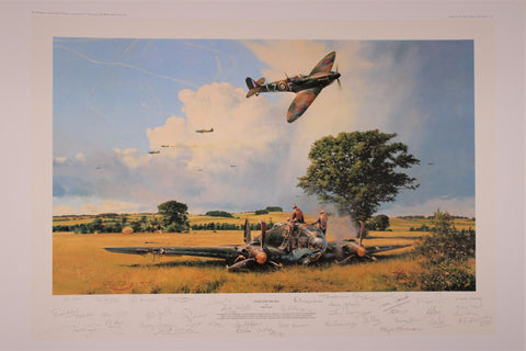 Fight for the Sky by Robert Taylor