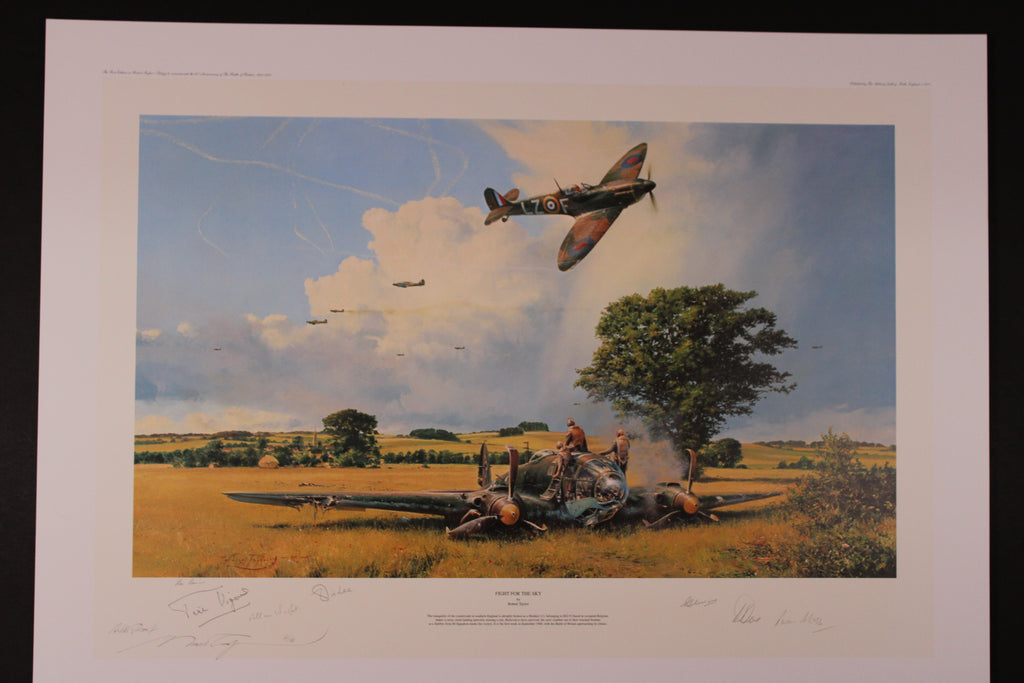 Fight for the Sky by Robert Taylor