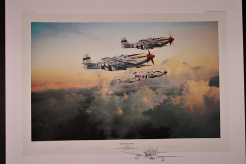 Fourth Fighter Patrol by Robert Taylor