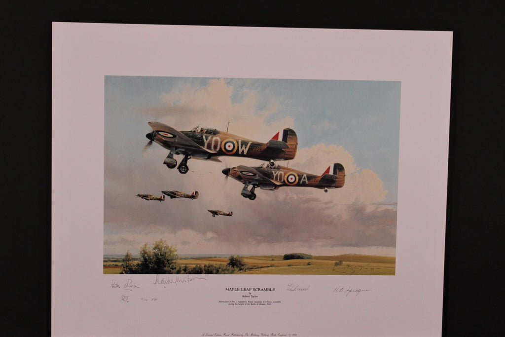 Height of the Battle by Robert Taylor