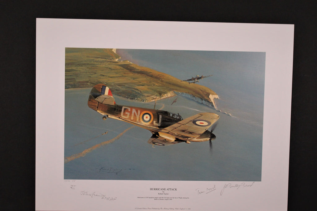 Height of the Battle by Robert Taylor