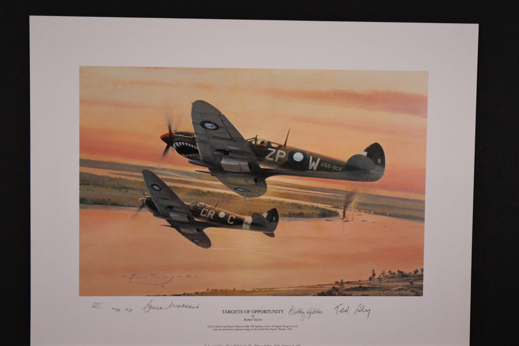 Height of the Battle by Robert Taylor