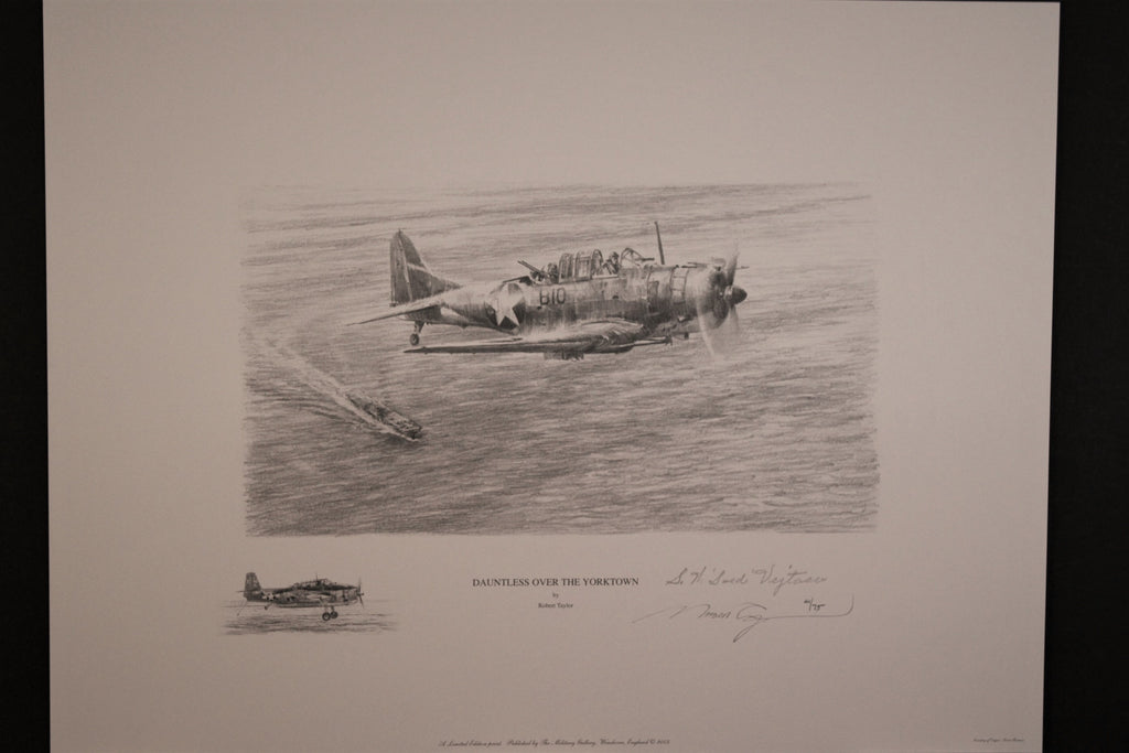 Hellcat Fury by Robert Taylor