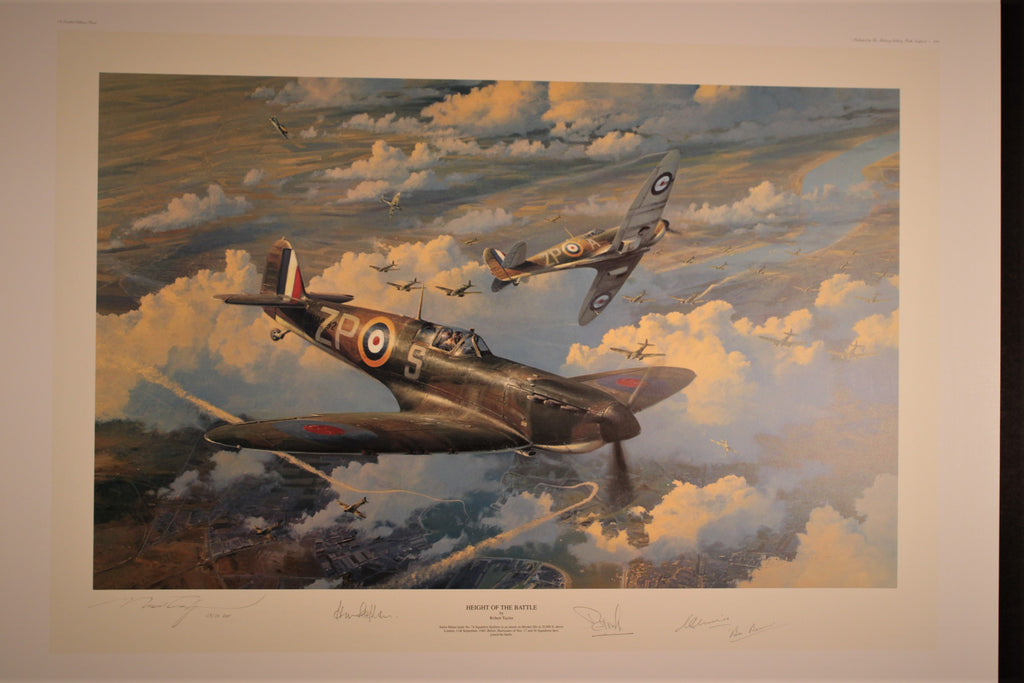 Height of the Battle by Robert Taylor