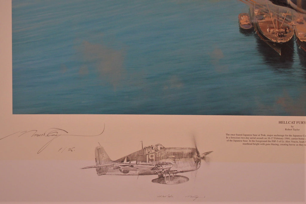 Hellcat Fury by Robert Taylor