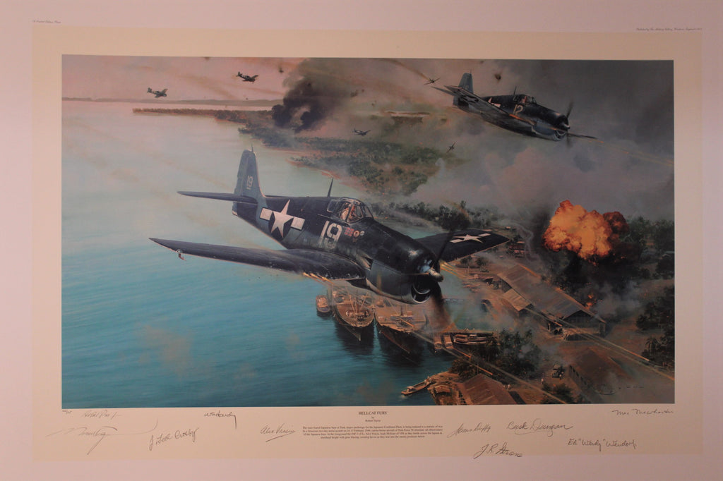 Hellcat Fury by Robert Taylor