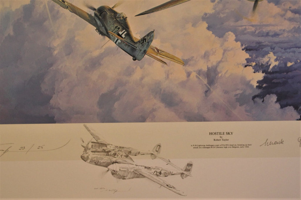 Hostile Sky by Robert Taylor Remarque