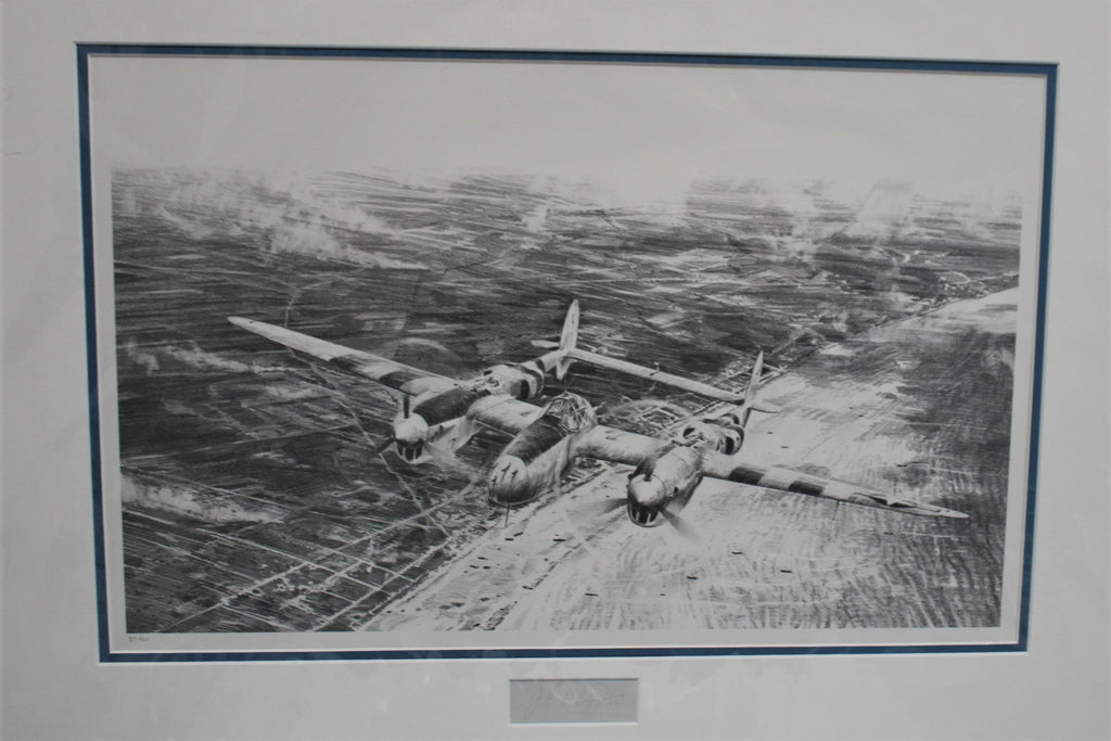 Mustangs on the Prowl by Robert Taylor