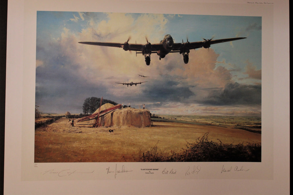 Last Flight Home by Robert Taylor