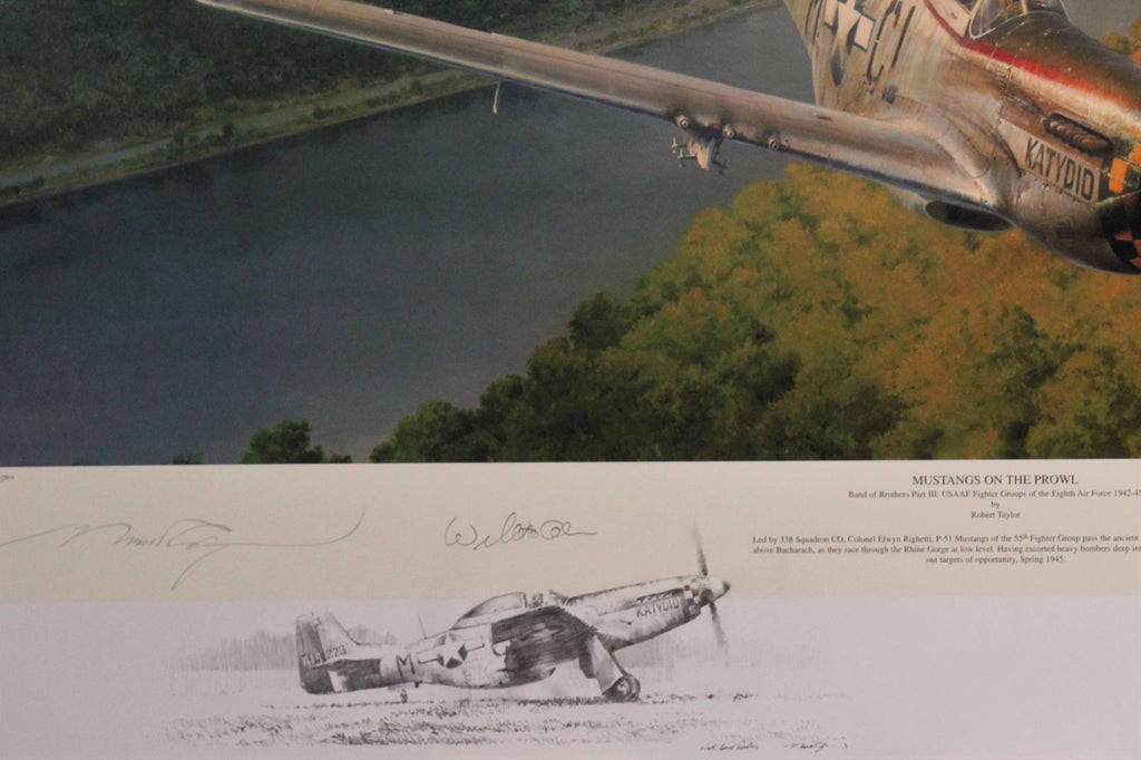 Mustangs on the Prowl by Robert Taylor