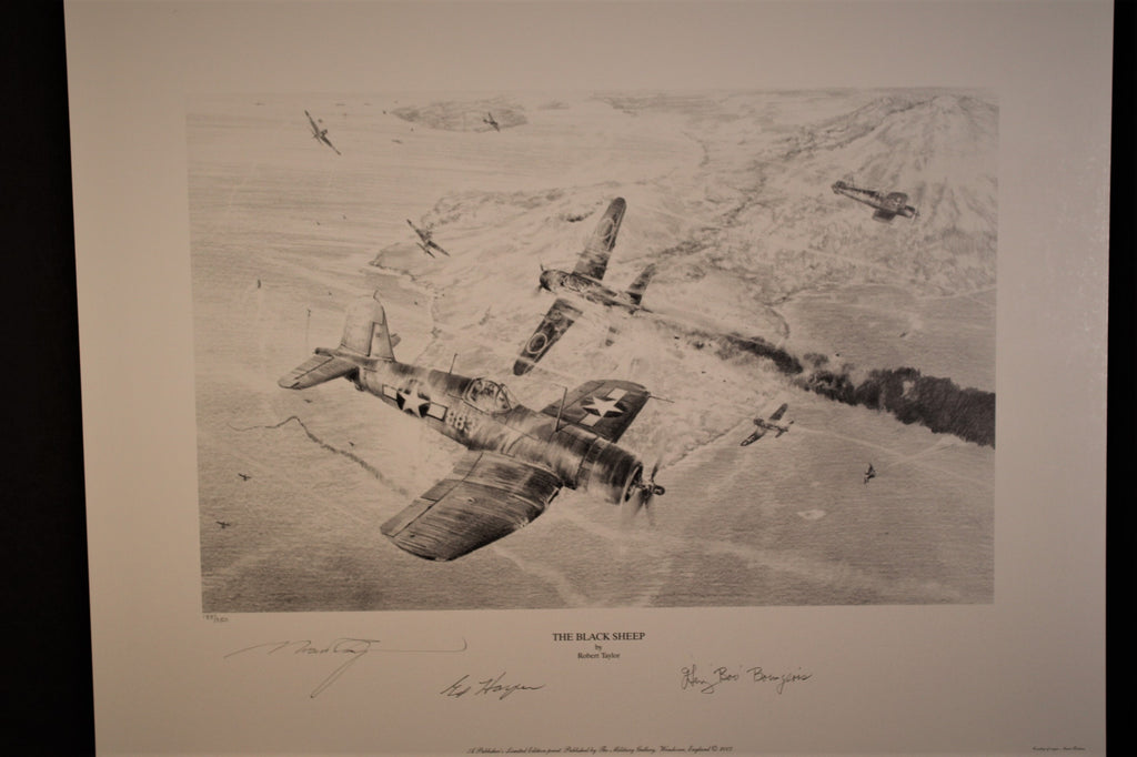 Rabaul - Fly for your Life by Robert Taylor