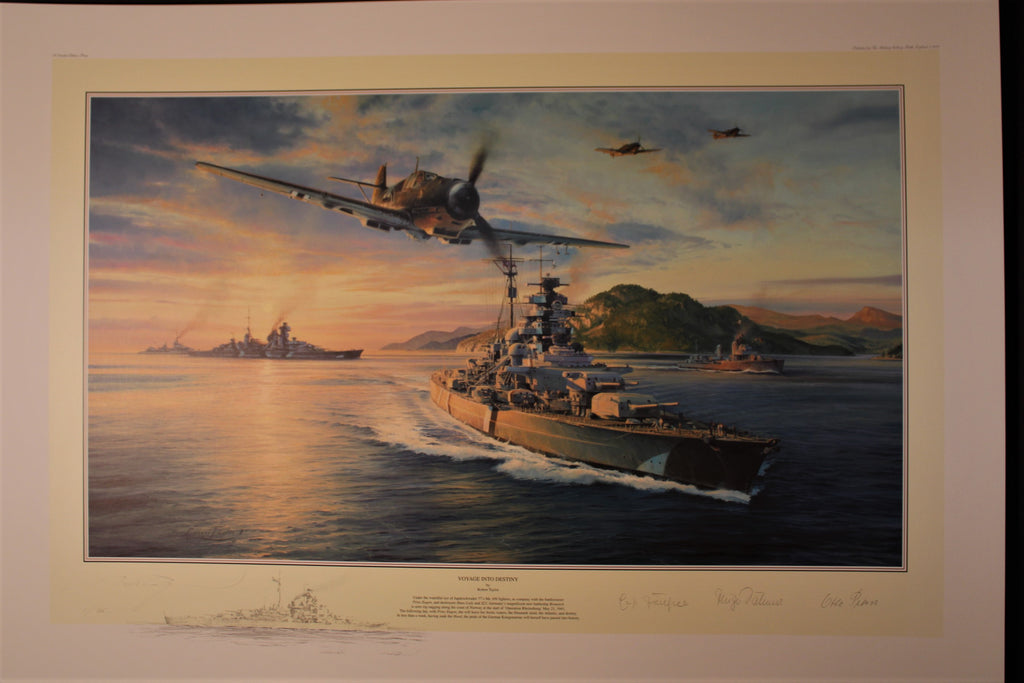 Voyage into Destiny by Robert Taylor