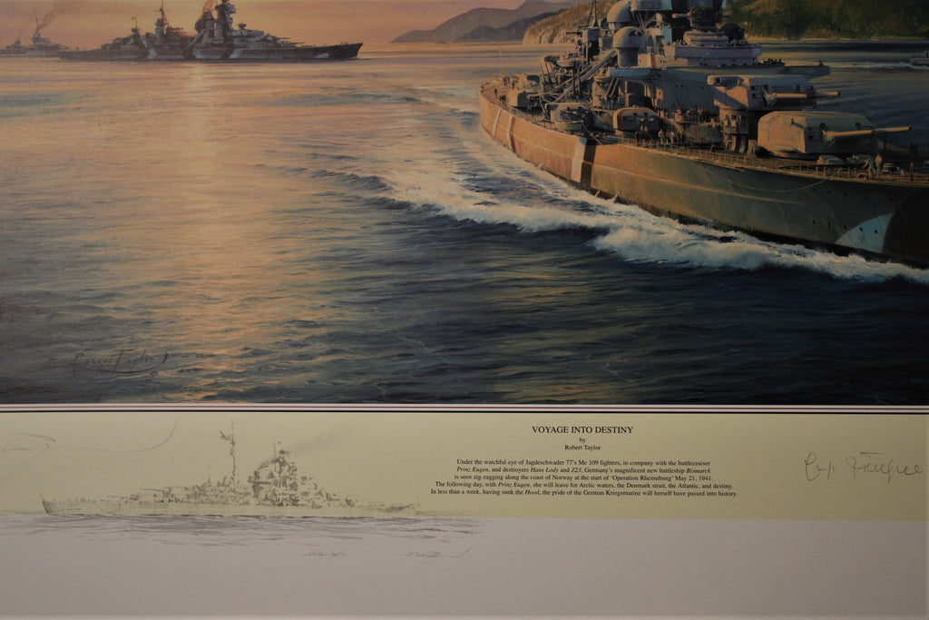 Voyage into Destiny by Robert Taylor