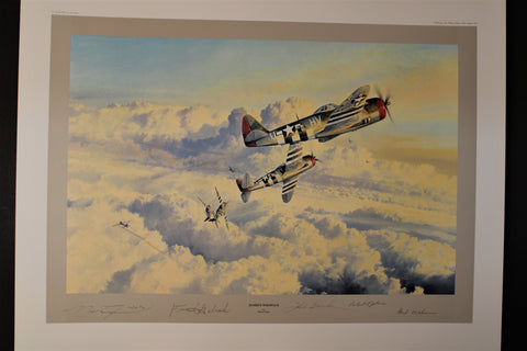 Zemke's Wolfpack by Robert Taylor