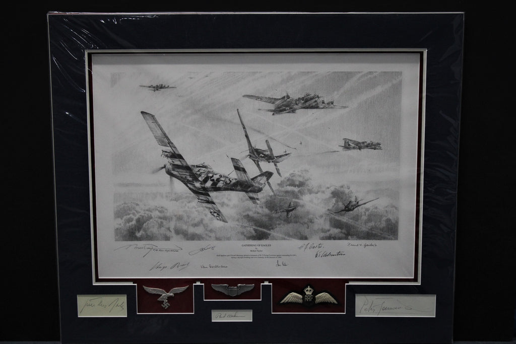 Gathering of Eagles - Aces High Edition by Robert Taylor