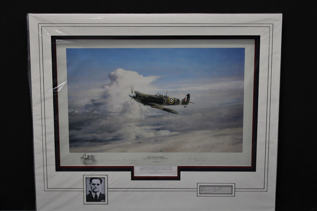 Reach for the Skies by Robert Taylor