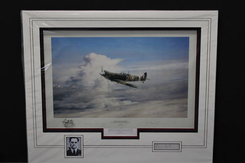 Reach for the Skies by Robert Taylor