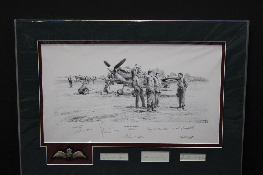 Eagle Force by Robert Taylor