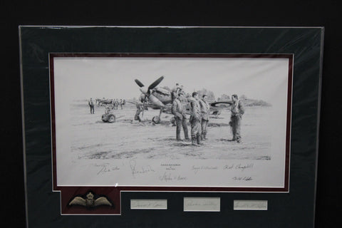 Eagle Force by Robert Taylor