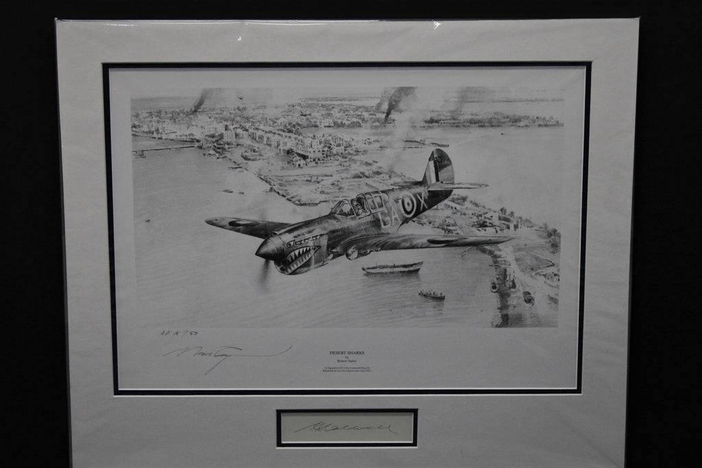 Desert Hawks by Robert Taylor