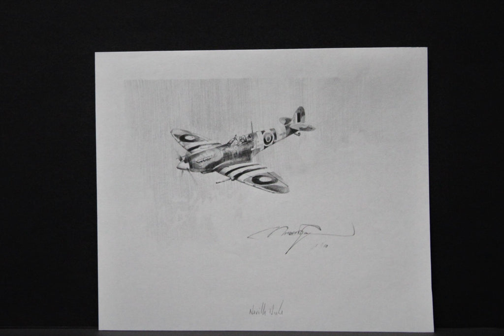 Normandy Nemisis with Original drawing.