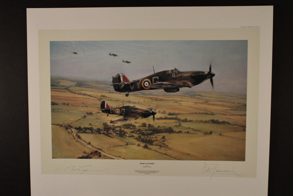 Moral Support by Robert Taylor