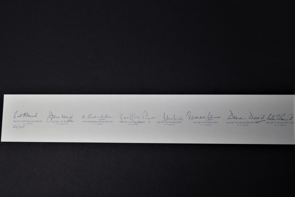 Battle of Britain Poster with rare signatures.