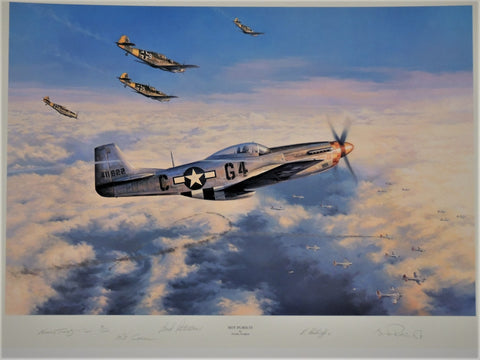 Hot Pursuit by Nicholas Trudgian