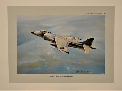 Falklands Set by Robert Taylor