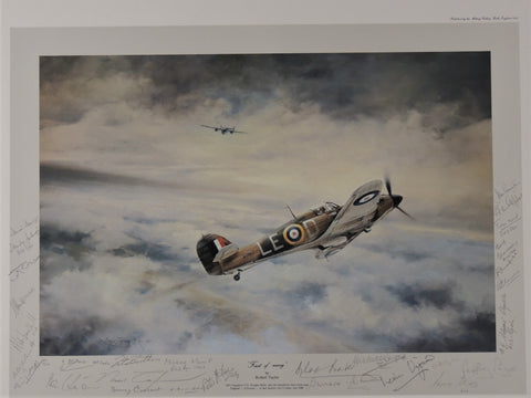 First of Many by Robert Taylor - Signed by 28 Battle of Britain Pilots