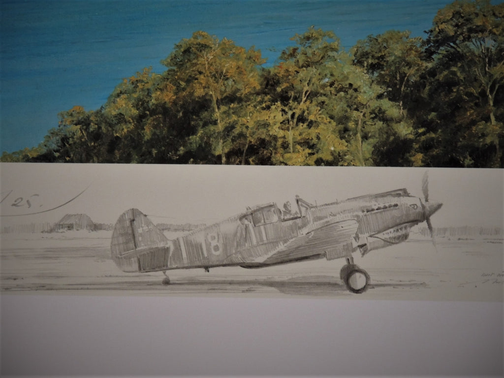 Chennaults Flying Tigers by Robert Taylor