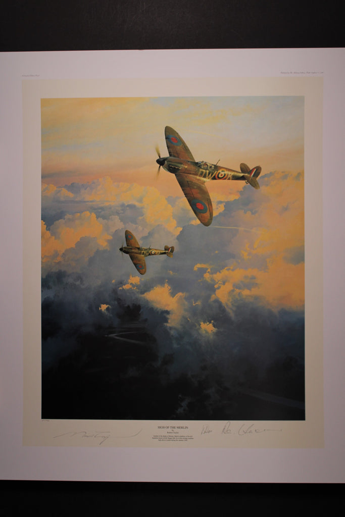 Sigh Of the Merlin by Robert Taylor with matching numbered cased book III