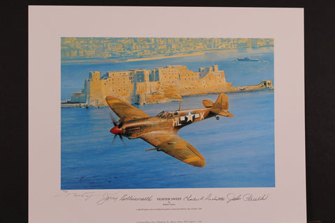 After the Battle by Robert Taylor - Spitfire Portfolio Edition with companion prints