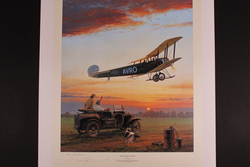 Dawn of Aviation by Robert Taylor