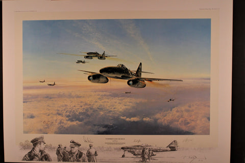 Stormbirds Over the Reich - Large Remarque